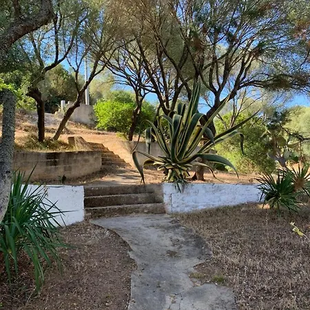 Casa Le Cicale Apartment